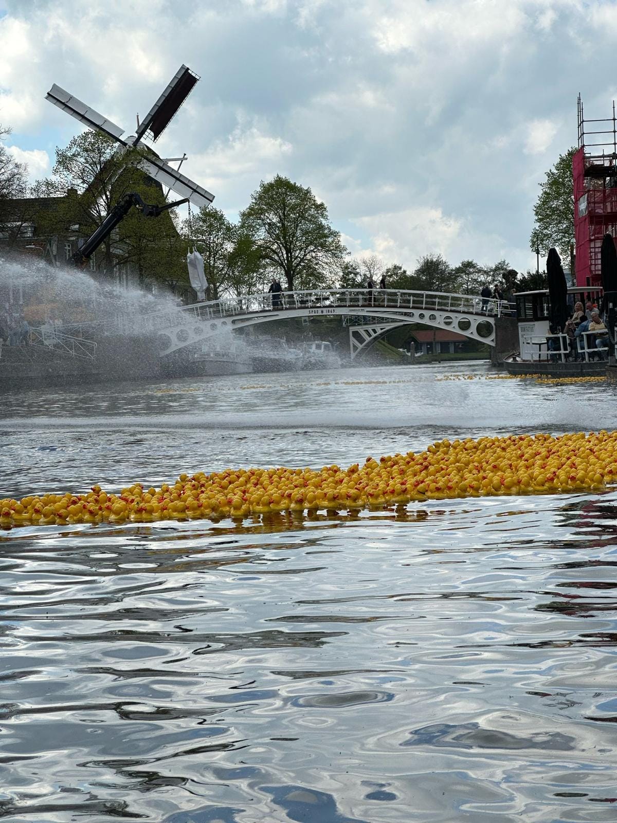 Duckrace